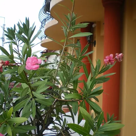 Bed & Breakfast Mediterran-apartmanok-harkany 3*