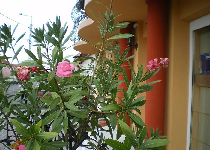 Bed & Breakfast Mediterran-apartmanok-harkany 3*